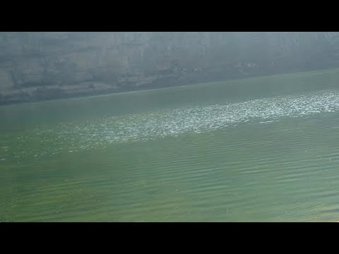 Nature photography vindhya Pradesh 