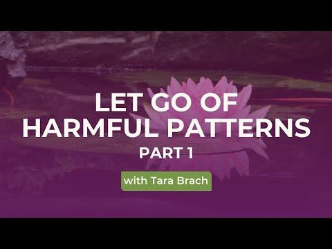Finding Inner Peace | Tara Brach on The Path To Refuge (Part 1)