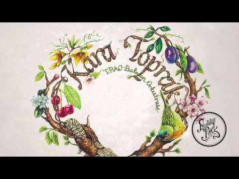 TPAO Batman Orkestrası - Kara Toprak (1967)