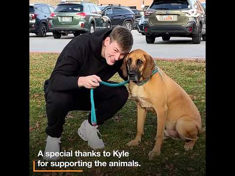 Kyle Filipowski and the Utah Jazz are our new best friends