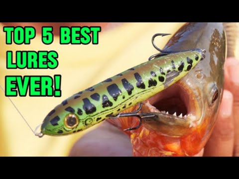 The BEST TOP 5 Fishing Lures You NEED To Own NOW!
