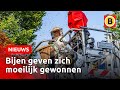 Brandweer én imker nodig bij bestrijden bijennest | Omroep Brabant