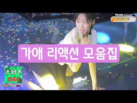 가애 가애 ~ 가애 가애 ~