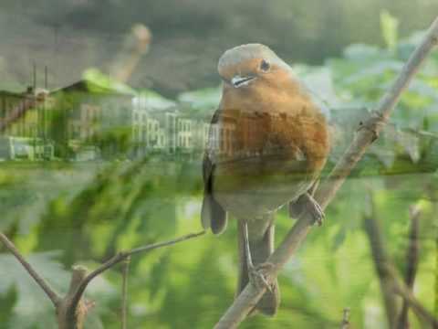 The Old Rustic Bridge by the Mill
