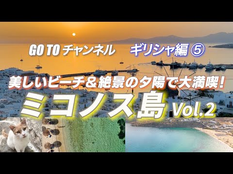 コンテンポラリーテラス路地-木材-複合照明-クッション-フロア