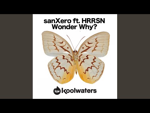 Wonder Why? (Marc Vedo Remix)