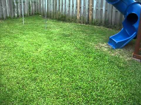 Matthew Christopher si George Strimbu