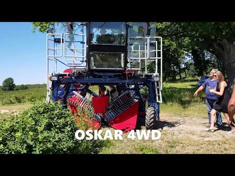 Récolteuse automotrice de baies OSKAR 4WD - Jagoda JPS - Productivité 0,5 ha/h - Précision jusqu'à 98% - Moteur Doosan 74 CV_5