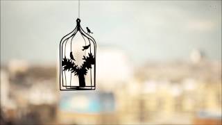 Gustavo Santaolalla - Through the Rainwall