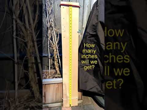 Denver Blizzard - March 13/14, 2021