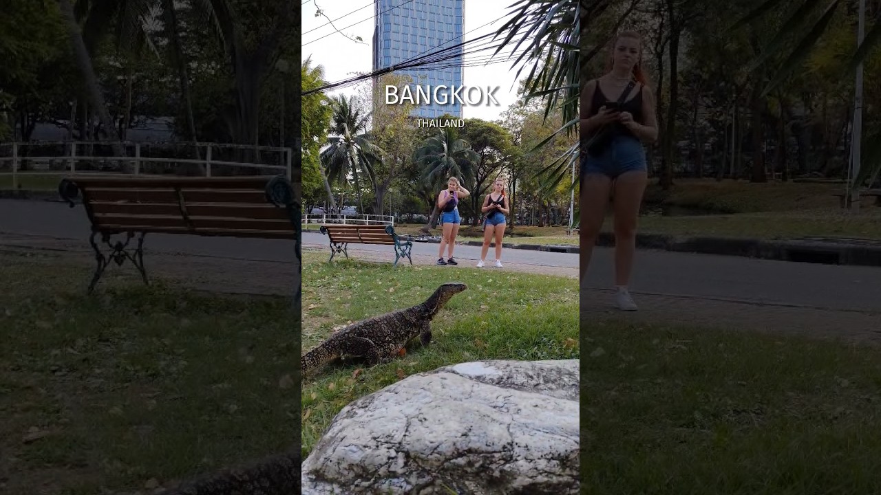 YouTube Short thumbnail