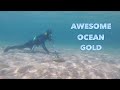 Underwater Search (OLD HOSPITAL) GOLD & Cash Found on Ocean Floor (Biggest Fear) Underwater Search (OLD HOSPITAL) GOLD & Cash Found on Ocean Floor (Biggest Fear)