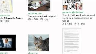 preview picture of video 'Pet Shots Affordable Animal Clinic | Jacksonville Beach, FL | 32250 | 904-694-0541'