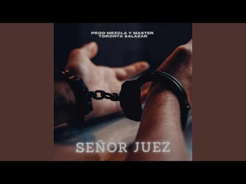 Señor Juez