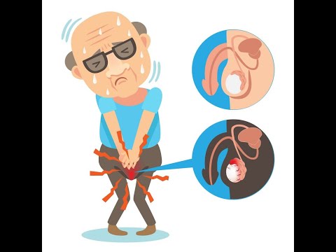 Men’s Health – Scrotal and Penile Pain