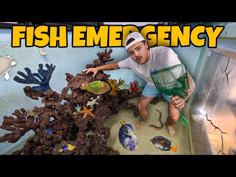 FISH EMERGENCY in My SALTWATER REEF POND!!