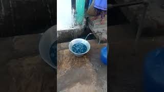 preview picture of video 'Ekambarakuppam Scenario /Dying Water /Street tap/'