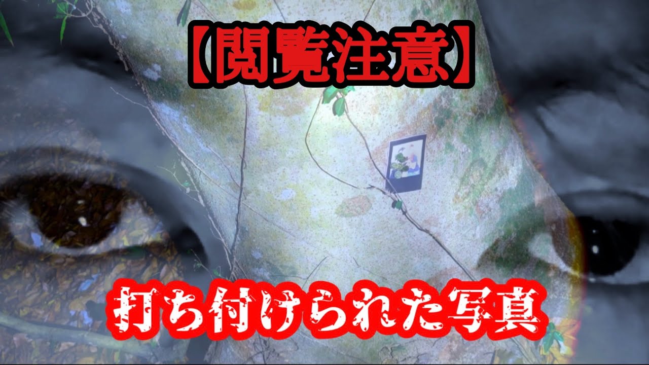 【心霊】千葉で1番有名な藁人形が見つかる神社を再訪問…そこで見つけたのは…