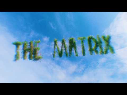 Mother Mother - The Matrix (Official Music Video)