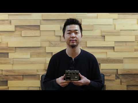 Korg HD-S NuTekt Harmonic Distortion Pedal DIY Kit