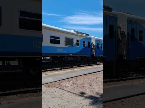 El Marplatense, pasando por Coronel Brandsen