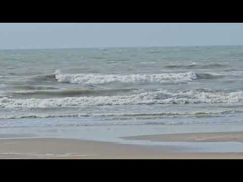 Still Waters - Song by Emily Wood