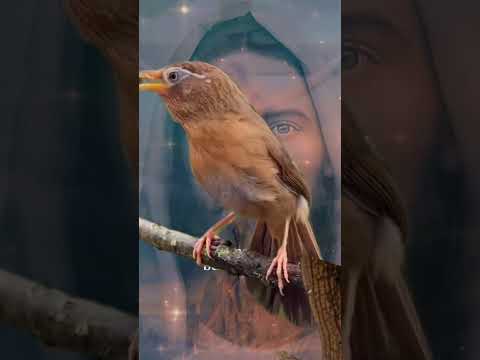 31 de agosto de 2024