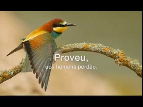 CCB Hino: 146 - De Deus veio a Luz