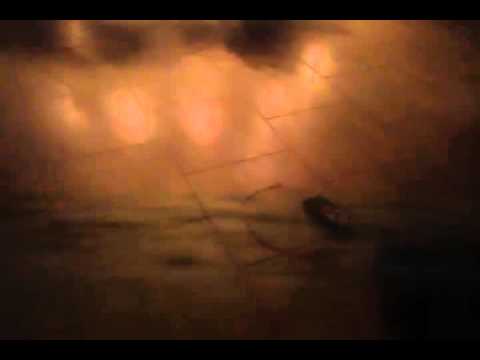 Raben tuhen manchmal weh