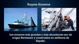 Tipos de Tranportes y sus Clasificaciones (Vocabulario del Transporte)