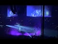 Drake 21 Savage Spin Bout U It S All A Blur Tour Live At Madison Square Garden Night 1