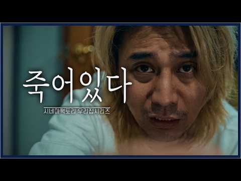 비디오 26
