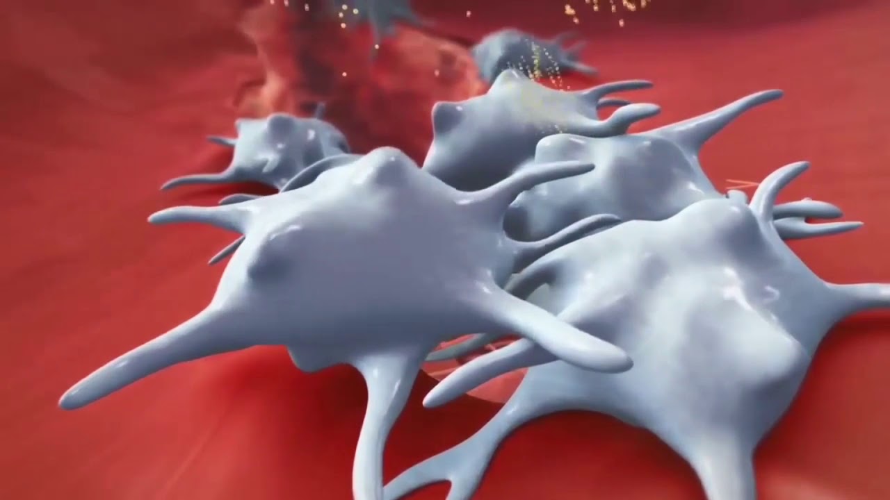 Proses pembekuan darah