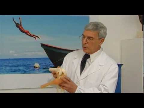 Articolazioni crema cavalli acquistare 30 settimane di gravidanza, mal di schiena e la gamba