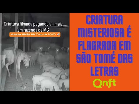 Quem Não Faz Toma: Capivaras, Polêmicas e Música!