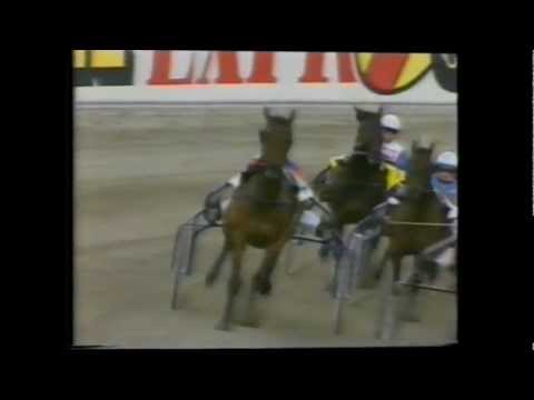 Solvalla 1.Heat Elit Loppet 1991 Peace Corps 1:12,3