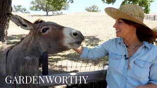 Farm Tour of a Former Art Gallery in Santa Ynez | Garden Tour