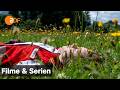 Einfach Elli Neue Serie Trailer Filme Serien ZDF