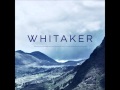 Whitaker - I Will Break Your Heart 