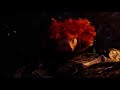 Brave Disney Junior Brasil Promo 2015