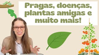 Miniatura do vídeo
