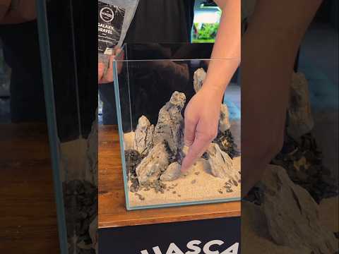 Nano cube aquarium scaped by James, take it home ????