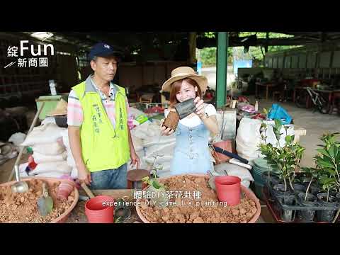 【城鄉島遊】新北雙溪商圈