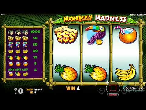 Pragmatic Play - Monkey Madness - Gameplay Demo