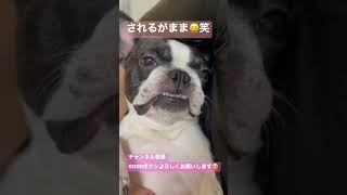 どんな感情なの？#shorts