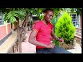Sigisiet By Isimba Jazz