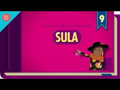 Sula: Crash Course Literature 309