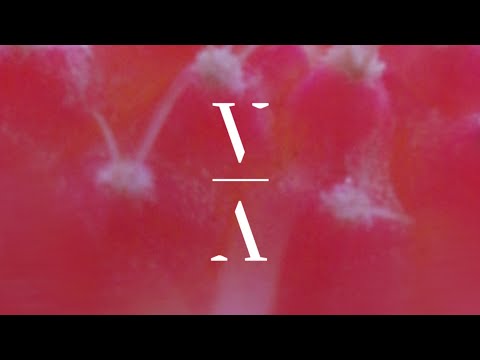 Robby East & MØØNE - I've Been Dreaming [Extended Mix]