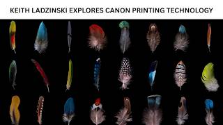 Canon Keith Ladzinski Explores Canon Printing Technology (2026) – Professional Workflow & Color Accuracy Showcase