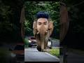 මංජුල අයියගේ සුපිරි Edits 01 Foryou Foryou Jokes Meme Funny Sinhal